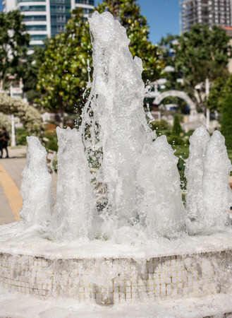 The fountains gushing sparkling water in a pool in a parkの写真素材
