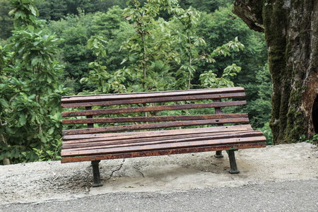 Wooden park bench at a parkの写真素材
