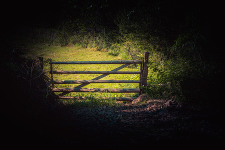 Part of a fence made of wood in viewの写真素材