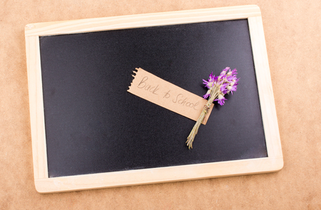 Back to school lettering with a bunch of flowerの写真素材