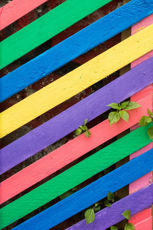 Backdrop and background texture details in abstract form on woodの写真素材