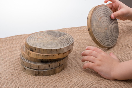 Wood Log cut in round thin pieces in handの写真素材