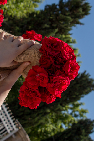 Beautiful fresh roses wrapped with canvas in handの写真素材