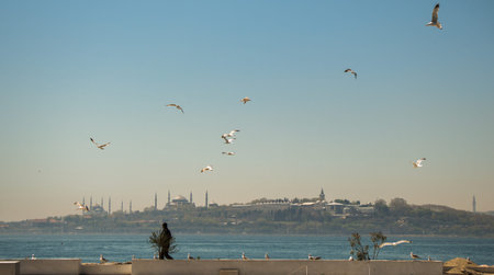 Istanbul city skyline.の写真素材