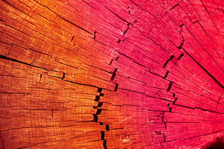 Wood texture with natural patterns as a backgroundの写真素材