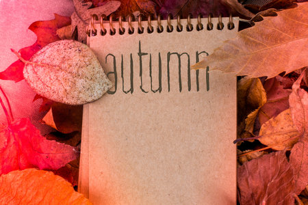 Open blank notebook with fallen autumn leaves  as a background