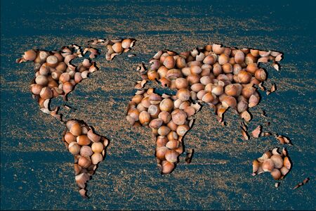 Roughly outlined world map with whiteの写真素材