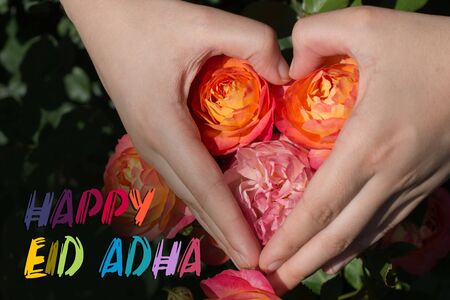 Hand holding a  colorful Rose Flowerの写真素材