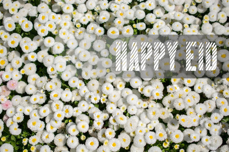 Blooming spring  flowers as a colorful background