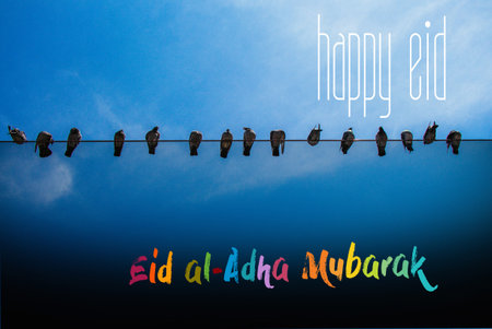 Muslim holiday festival of sacrifice, Happy Eid al-Adha mubarak wording