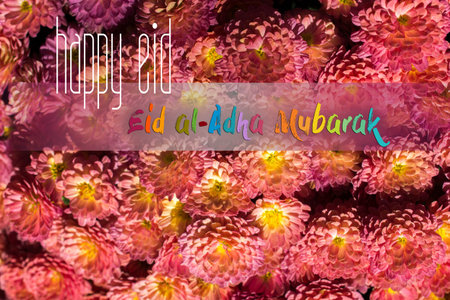 Muslim holiday festival of sacrifice, Happy Eid al-Adha mubarak wording