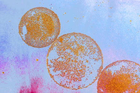 Air and oil bubbles inside water base form patterns