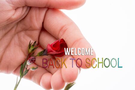 Back to school wording as educational conceptの写真素材