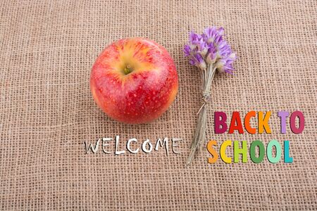 Back to school wording as education, teaching and learning conceptの写真素材