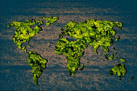 Roughly outlined world map with white backgroundの写真素材