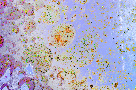 Air and oil bubbles inside water base form patternsの写真素材