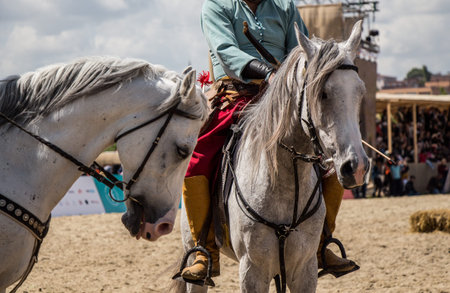 portrait of dark palomino horse. Horse head with long mane in profile