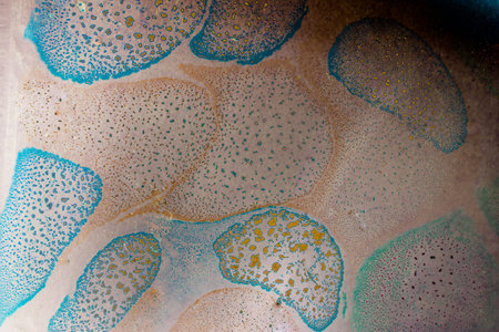 Oil bubbles inside water base form patterns