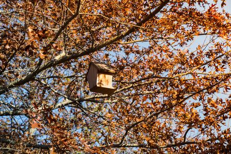 Wooden homemade birdhouse hanging on a  tree branchの写真素材