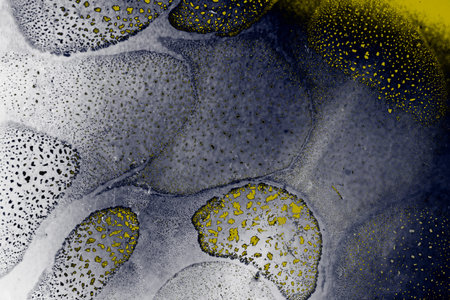 Oil bubbles inside water base form patterns