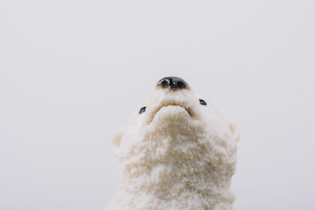 Polar bear model placed on a  white  in viewの写真素材