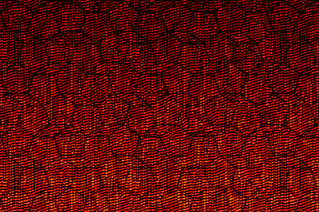 Abstract grunge background texture with patterns with space for text