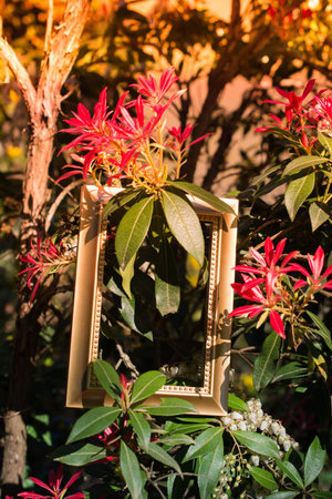 Tree bloom blossom beautiful flowers in wooden frame