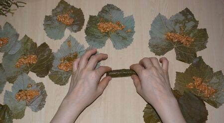 Making stuffed grape leaves in Turkish style as delicious dishの写真素材