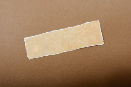 Gipped torn grungy paper with space for text on paper