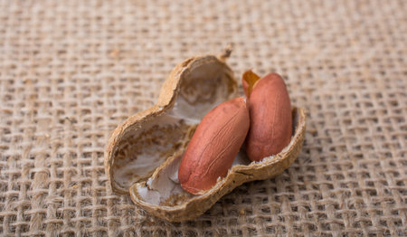 Cracked open peanut with shell on a linen canvas background