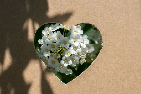 Flowers seen through heart shape cut out of cardboardの写真素材