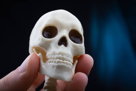 Hand holding Human skull model for anatomy science.の写真素材
