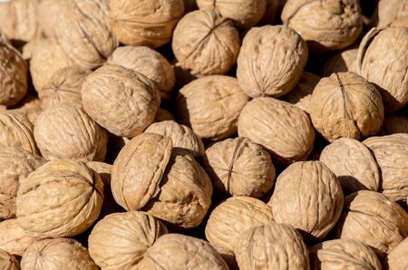 Pile of whole fresh walnuts with hard nutshellsの写真素材