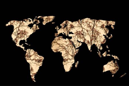 Roughly sketched out world map as global business conceptsの写真素材