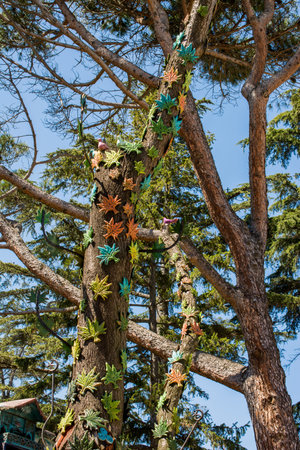 Part of a tree in a garden is in view