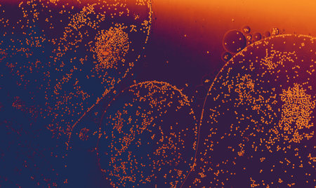 Oil bubbles inside water base form patterns