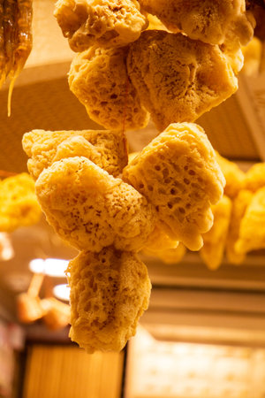 Collection of natural marine sea sponges for spa and Wellness  on a market stallの写真素材