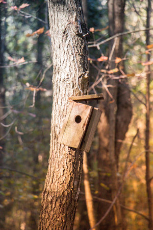 Wooden homemade birdhouse hanging on a  tree branch