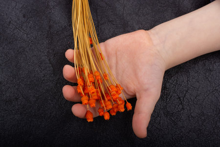 Bunch of dried flower in hand on dark background