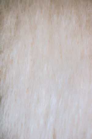 Gray felt like fabric material forming a texture backgroundの写真素材