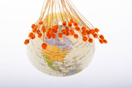 Bunch of dried flower on globe on dark backgroundの写真素材