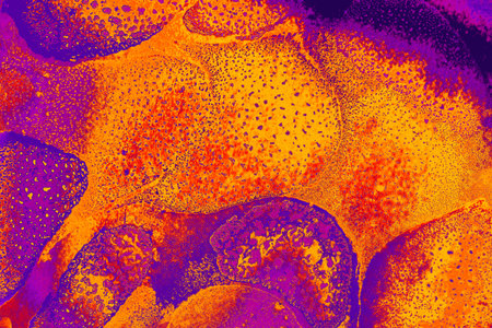 Oil bubbles inside water base form patterns