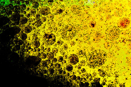 Air and oil bubbles inside water base form patterns