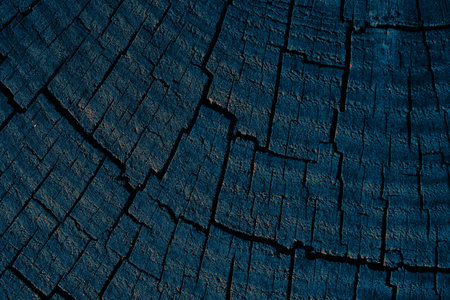 Wood log texture with natural patterns as a backgroundの写真素材