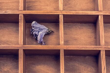 Dried flower put in a wooden box divisionの写真素材