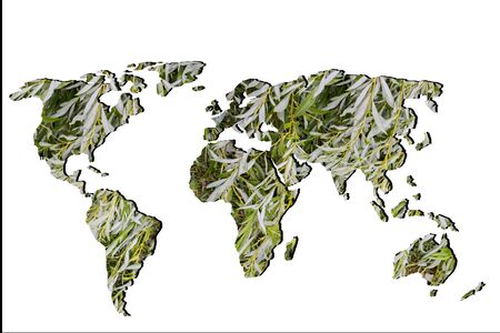 Roughly sketched out world map as global business conceptsの写真素材