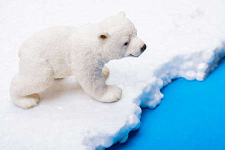 Fake Polar bear cub placed on fake snow and sea  background environmentの写真素材