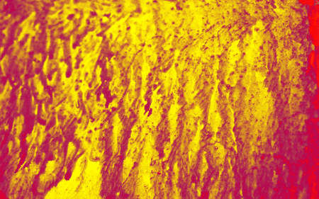 Colorful abstract painted wall patterns and texture as backgroundの写真素材