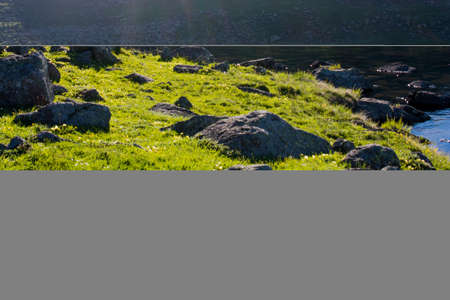 Highland lake in green natural background in Artvin province of Turkeyの写真素材