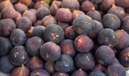 Ripe fig fruits seen in the market placeの写真素材